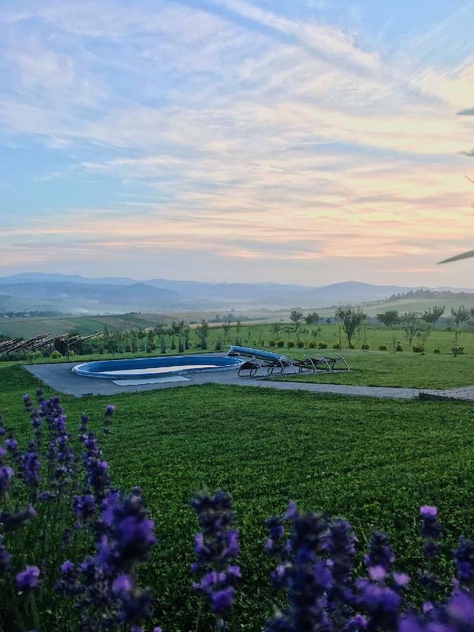 Krayka House Villa Starunya Buitenkant foto
